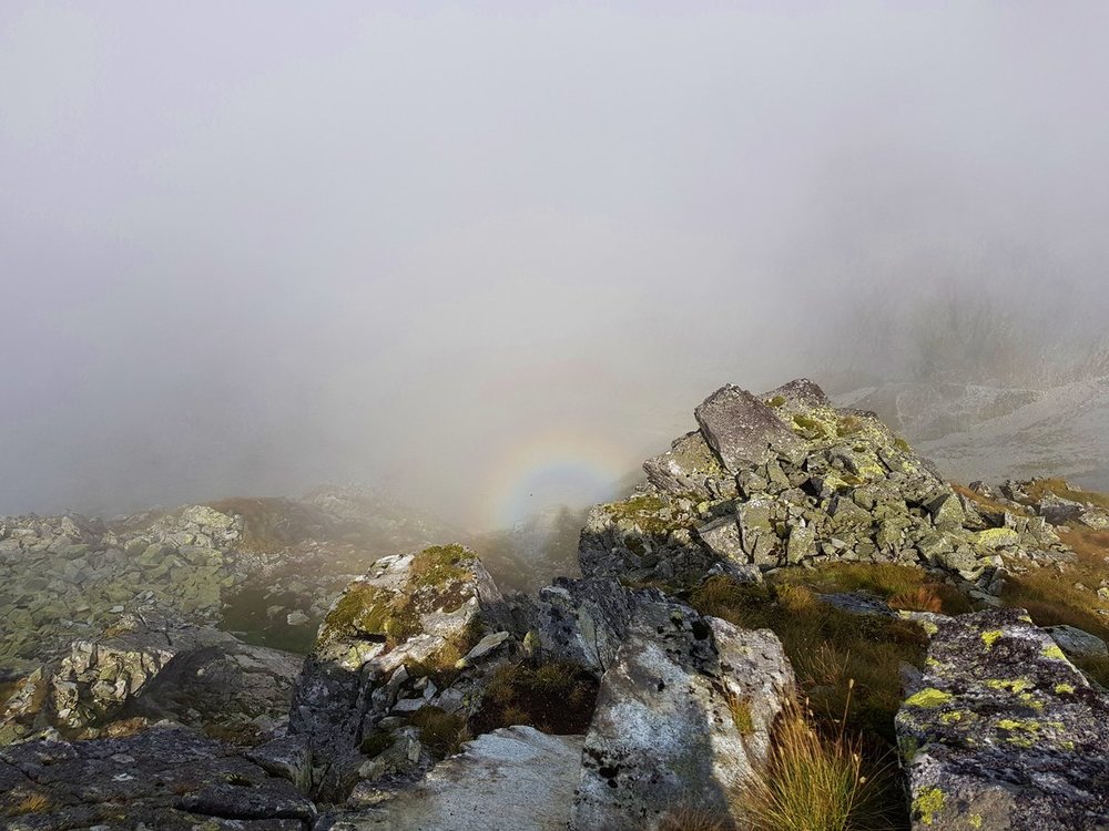 20190825_124111 (2).jpg