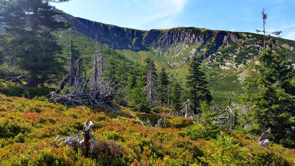 5-20150826_124158 - Mały Śnieżny Kocioł.jpg