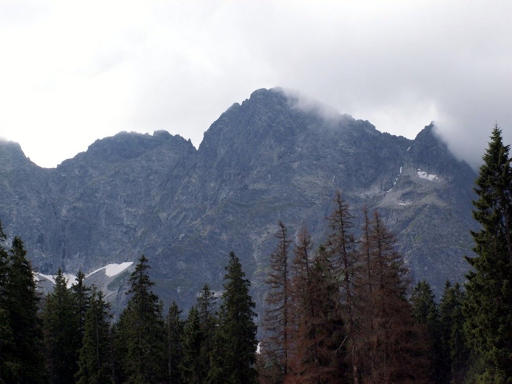Tatry_1_2006_0092.JPG