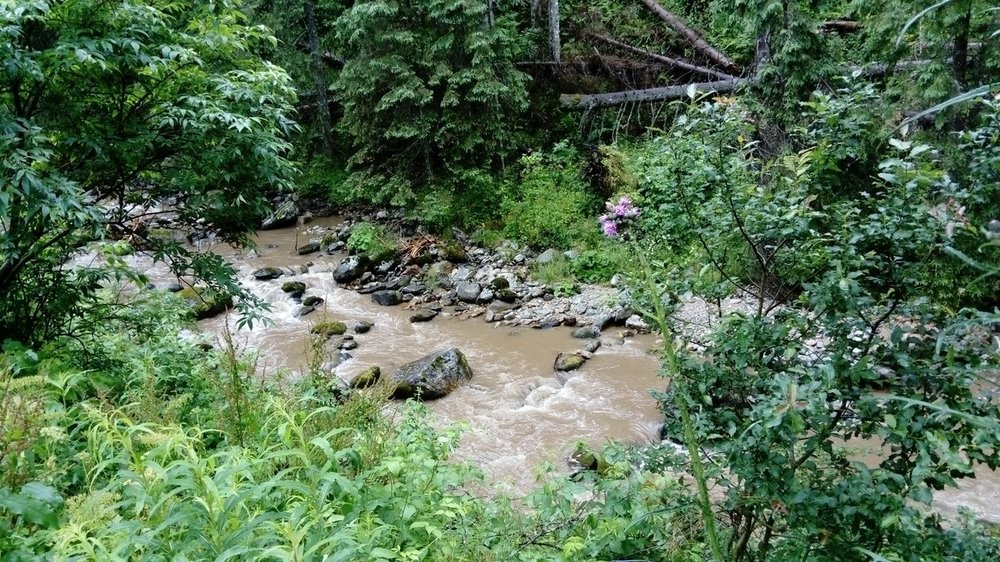 8 Chochołowska 14.07 (66).JPG