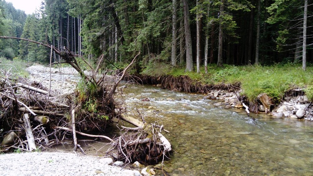 8 Chochołowska 14.07 (19).JPG