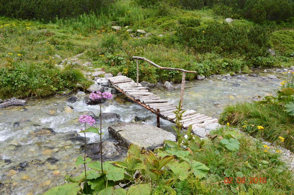 DSC_1250.JPG