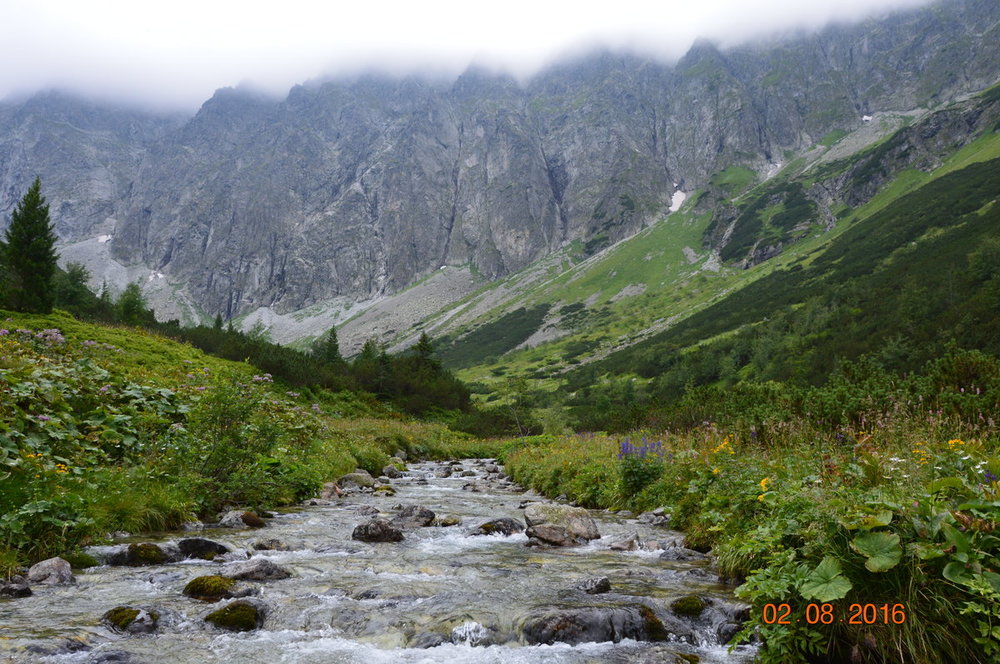 DSC_1251.JPG