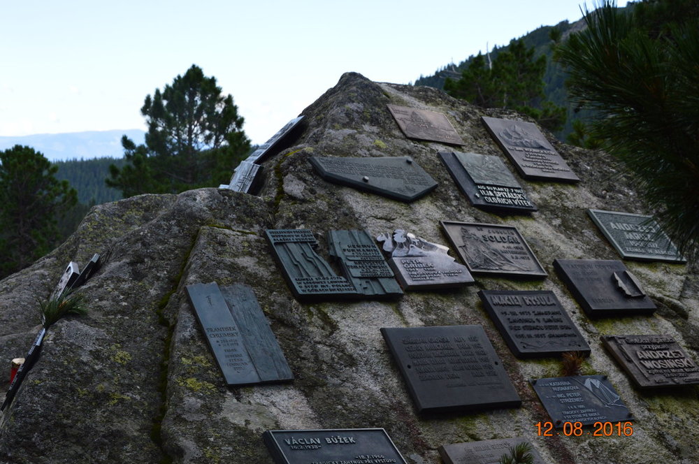 DSC_1667.JPG