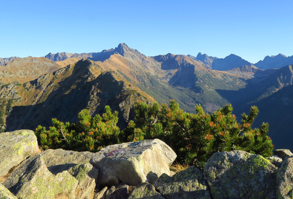 IMG_5177  125,85.jpg