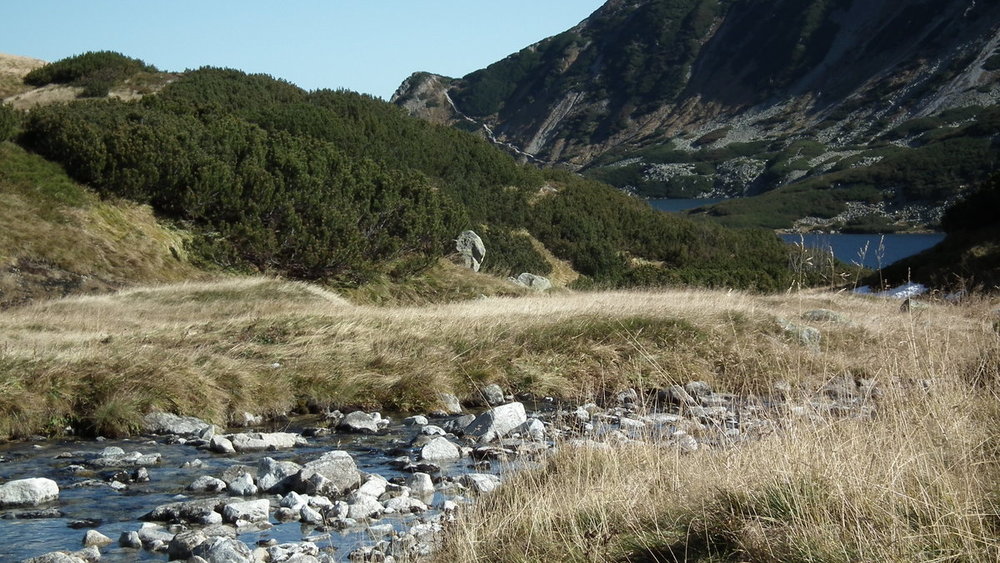 DSCF8252.JPG