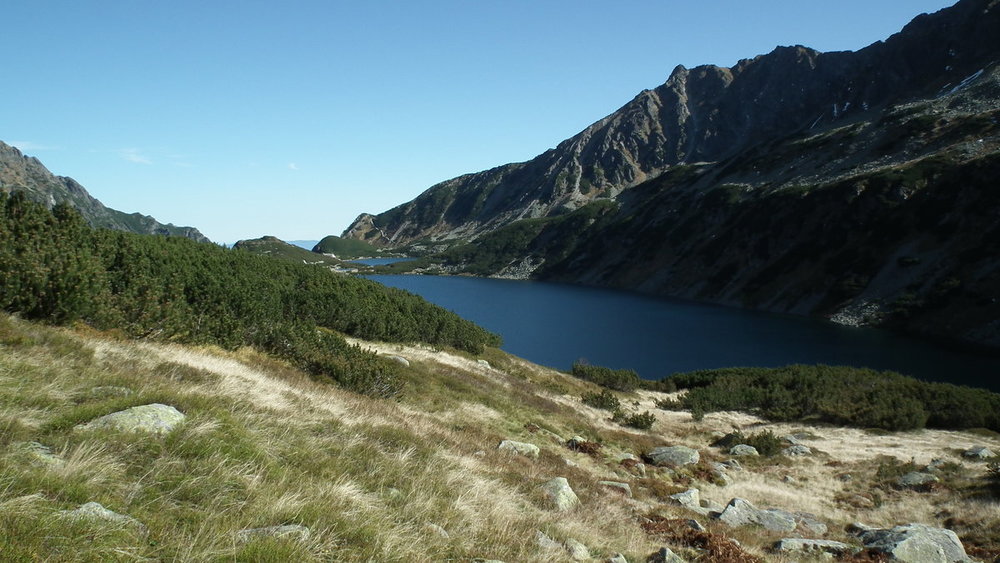 DSCF8255.JPG