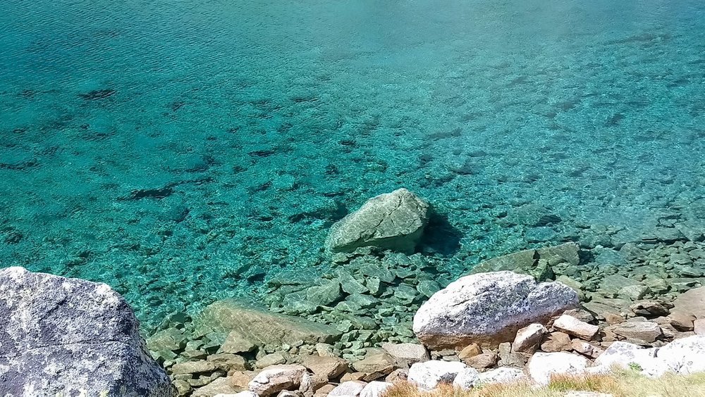 DSC_1171.JPG