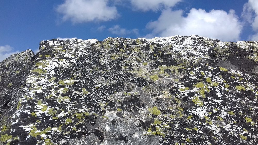 Świ 03.05.2018.r (130).jpg