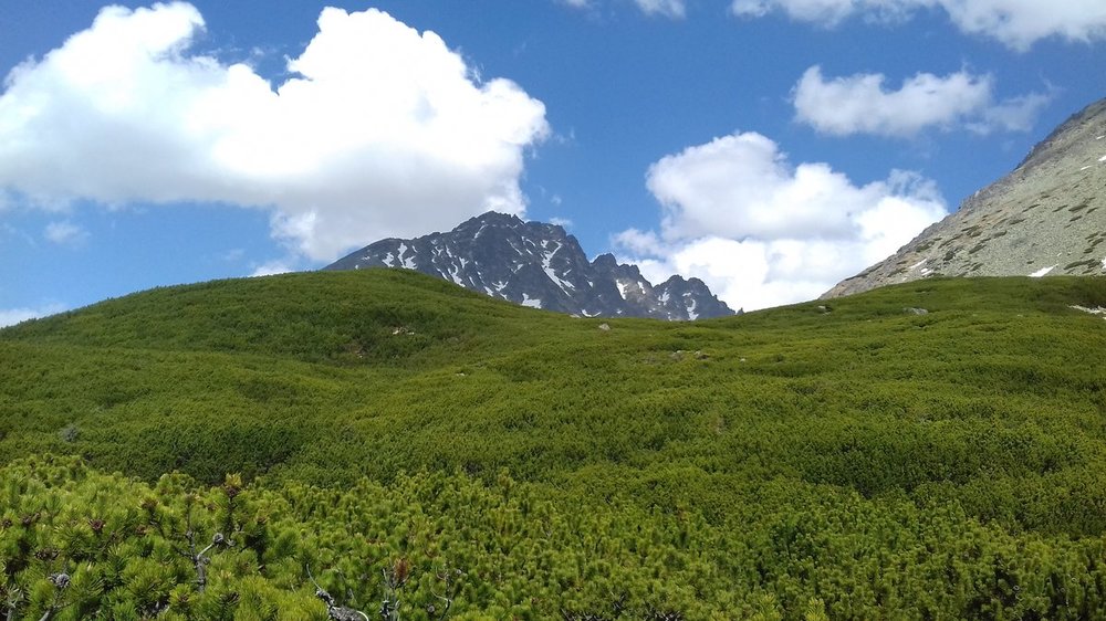 Kończysta 03.05.2018.r (47).jpg