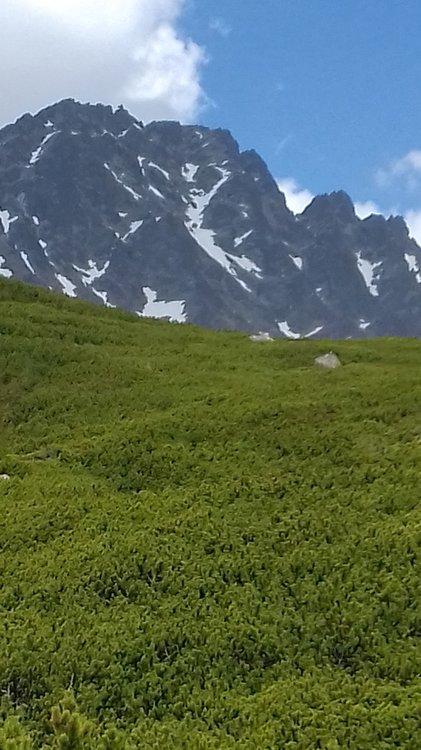 Kończysta 03.05.2018.r (49).jpg