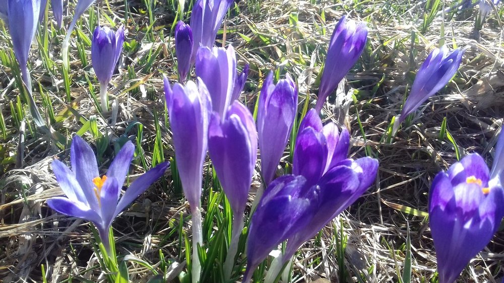 Bystra 30.03.2019.r 011.jpg