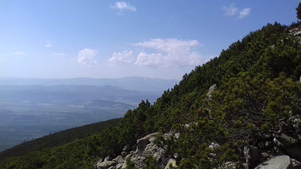 Kończysta 03.05.2018.r (41).jpg