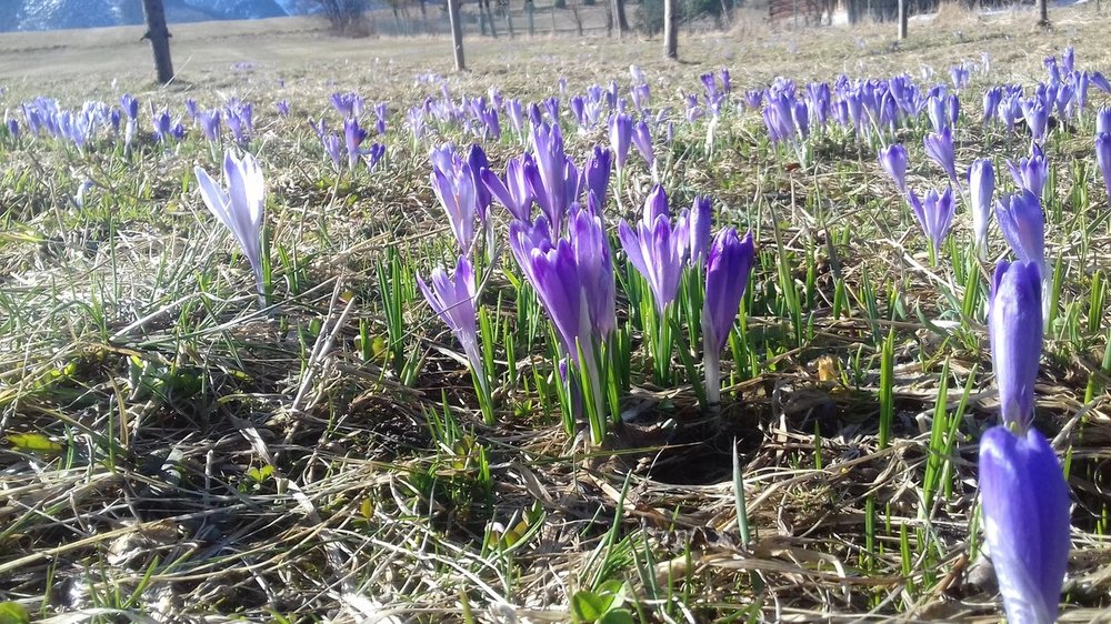 Bystra 30.03.2019.r 008.jpg