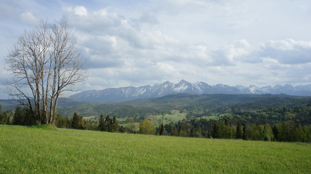 Widok z Łapszanki.JPG