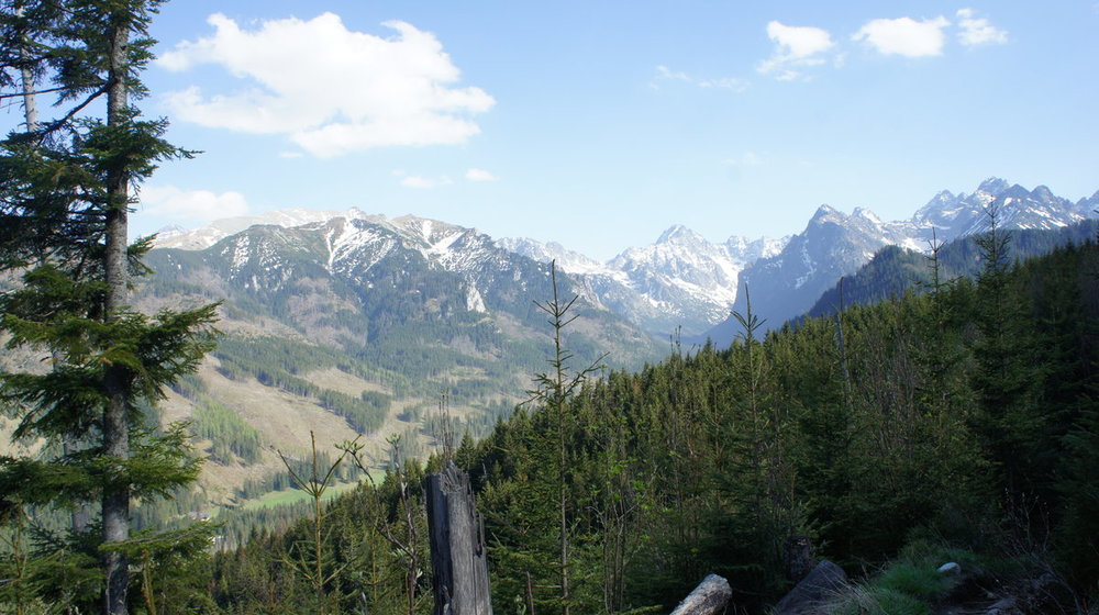 W Drodze na Rówień Waksmundzką (2).JPG