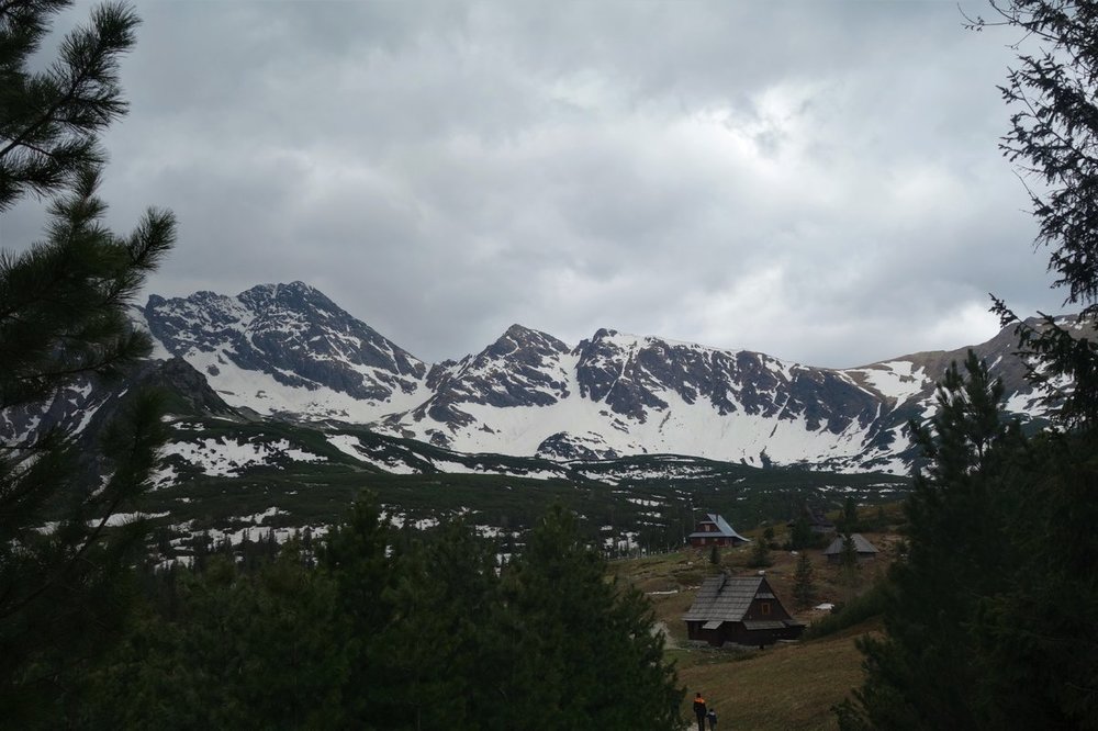 DSC07937.jpg