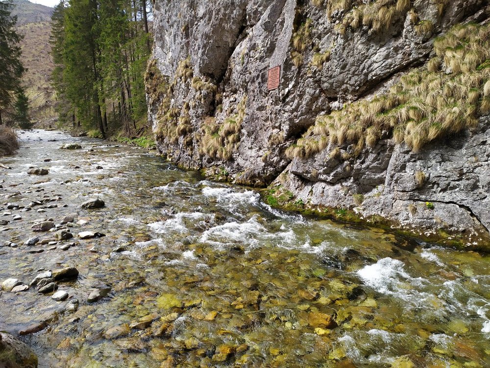 IMG_20200509_110925.jpg