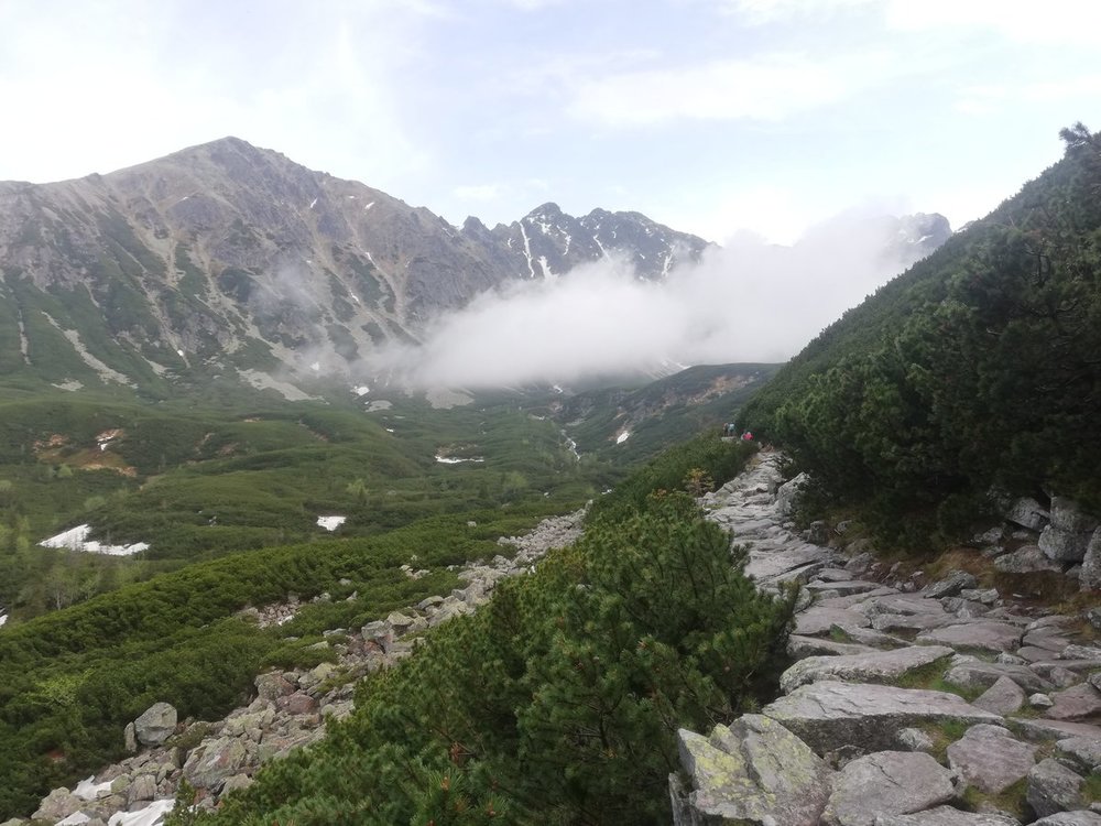 IMG_20200612_143838.jpg