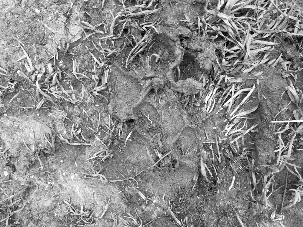 2020-07-17 11.35.39-2.jpg