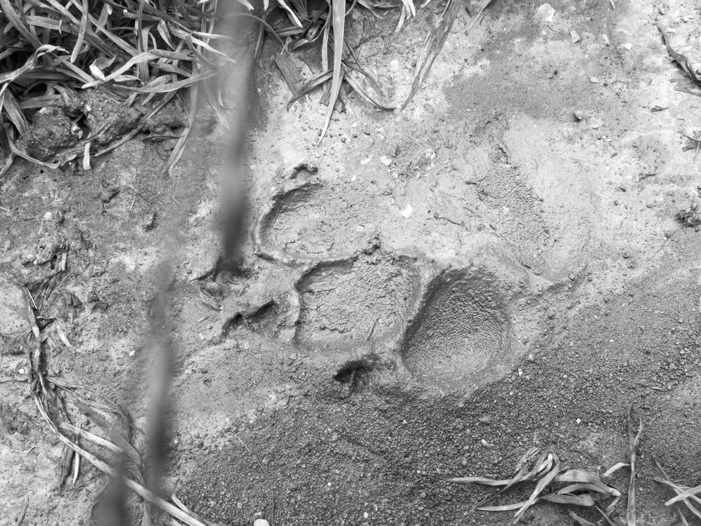 2020-07-17 11.36.35-2.jpg