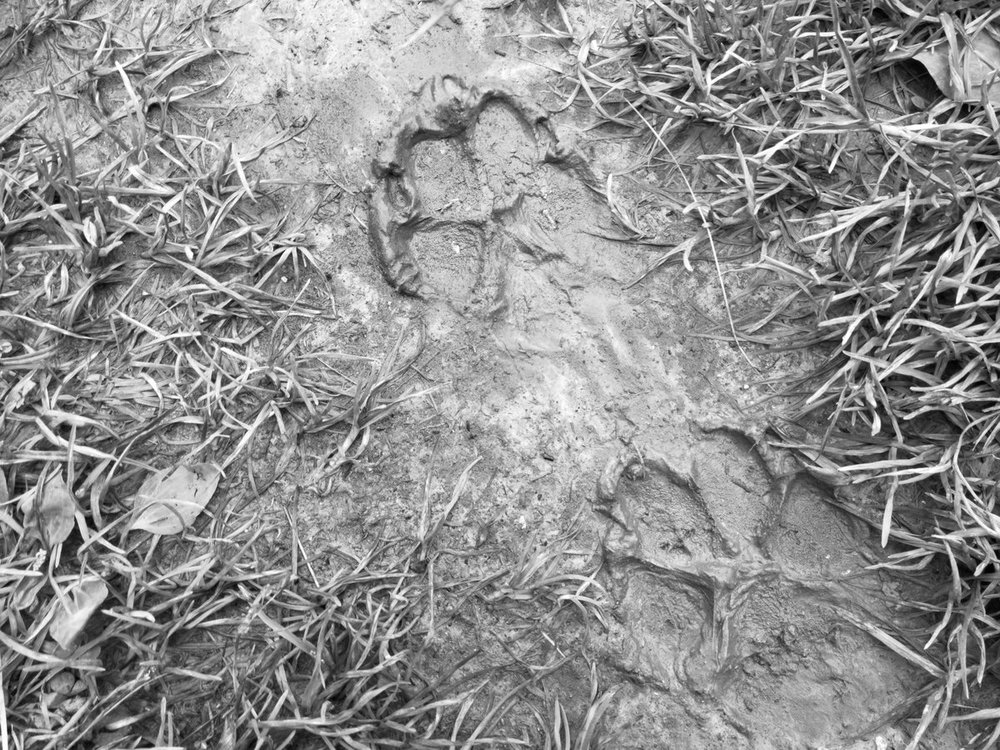 2020-07-17 11.36.24-2.jpg