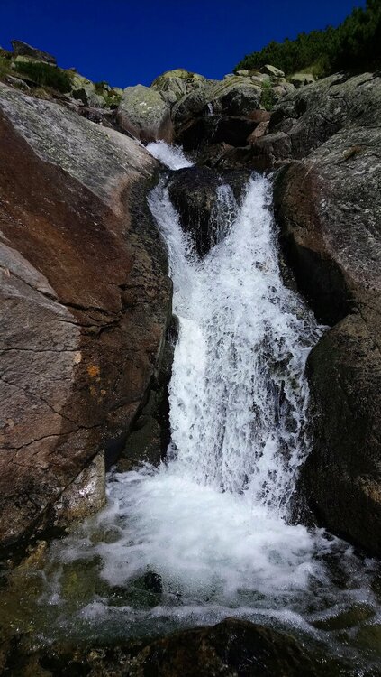 DSC_0643.JPG