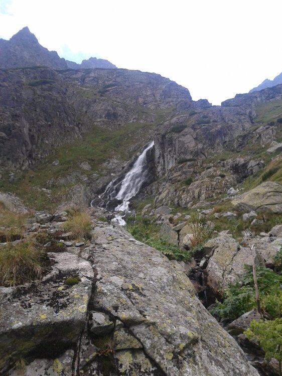 2011-08-24 16.17.17.jpg