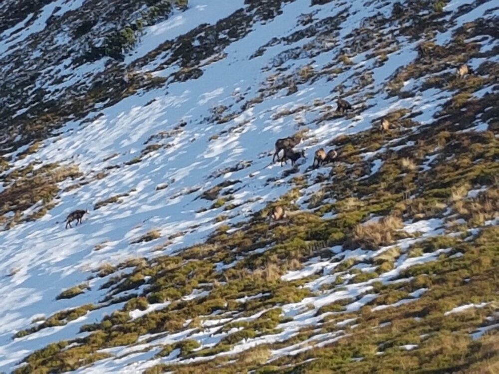 20191012_134559.jpg