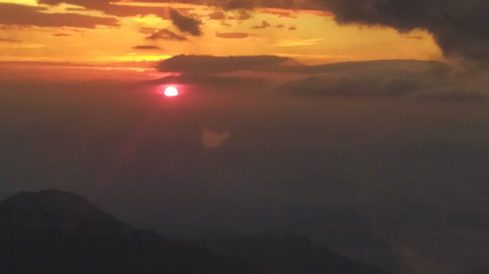 IMG_20210809_060831.jpg