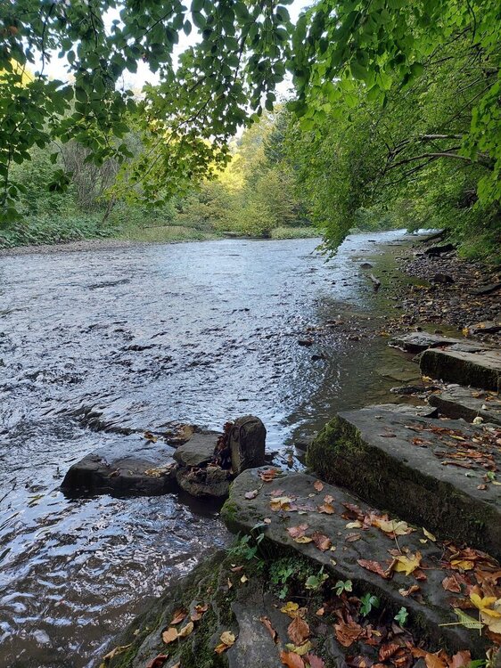 20210921_161151.jpg