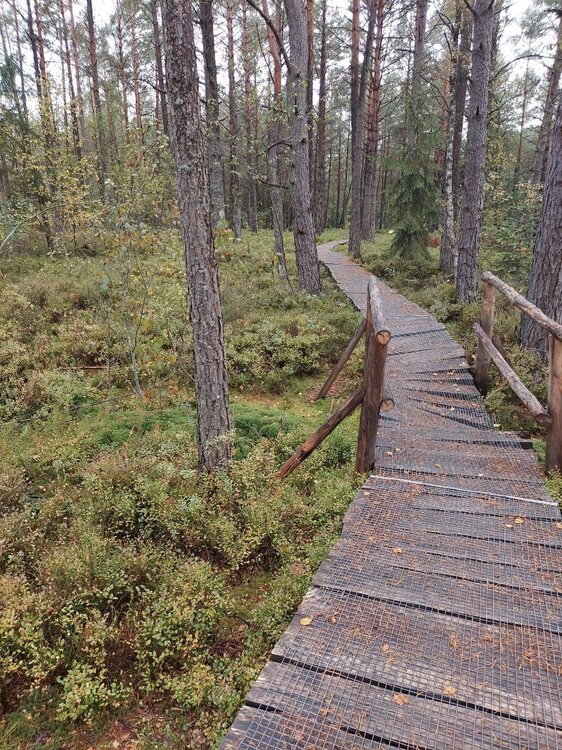 20210922_142618.jpg