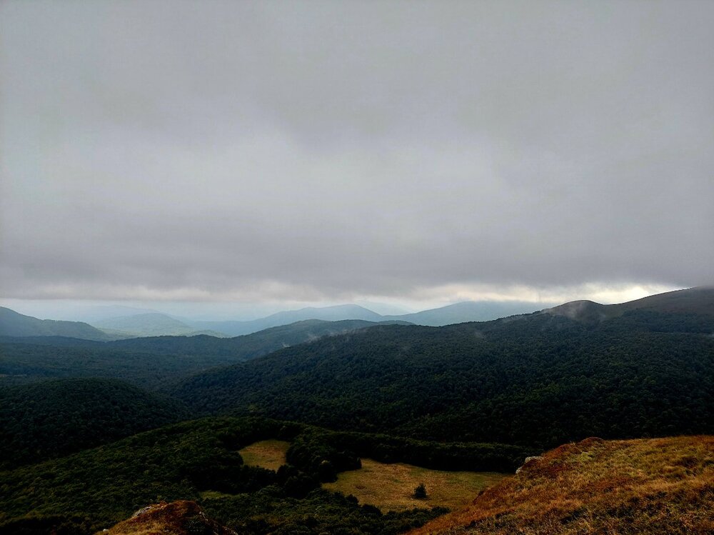 20210923_142159.jpg