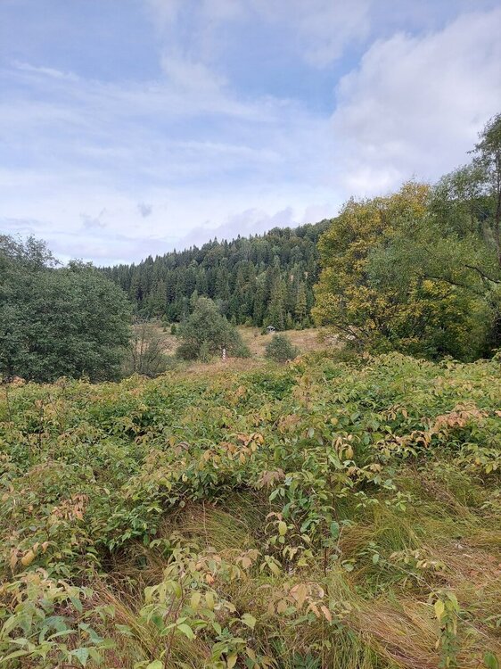 20210924_130150.jpg
