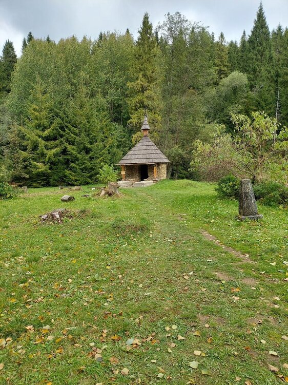 20210924_131619.jpg
