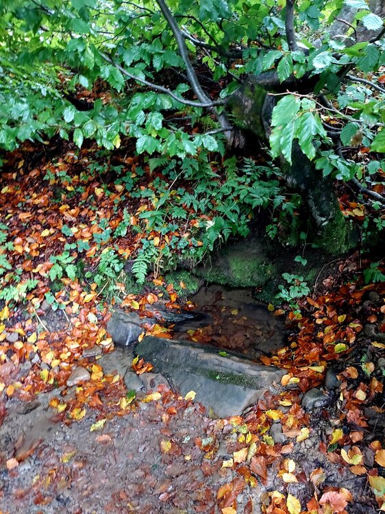 20210924_142635.jpg