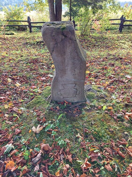 20210924_163959.jpg