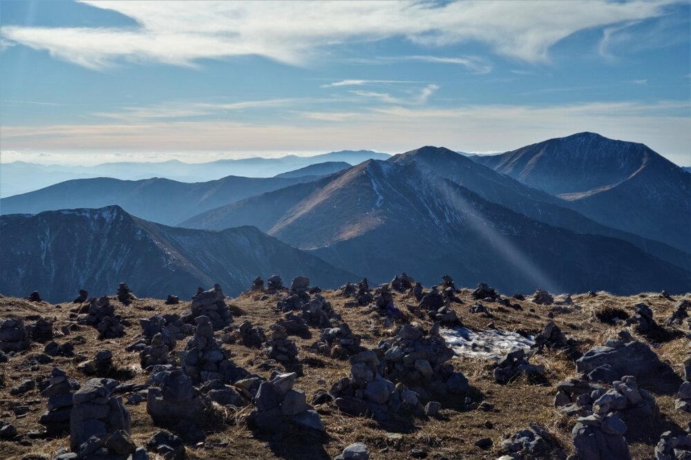 DSC05556 — kopia.JPG