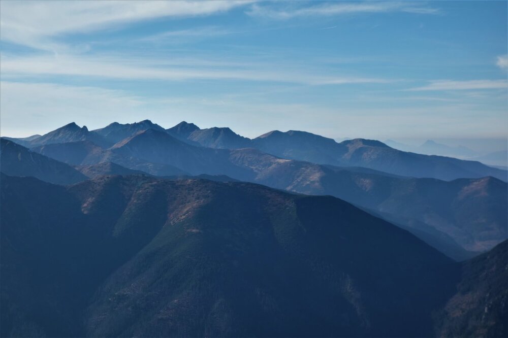 DSC05596 — kopia.JPG