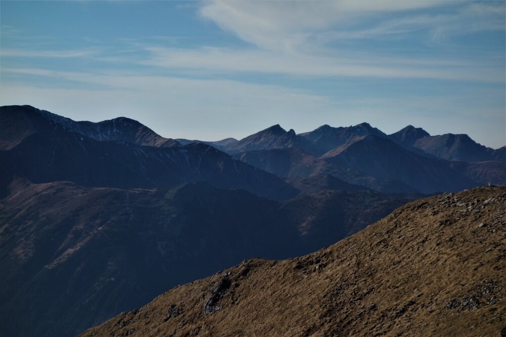 DSC05578 — kopia.JPG