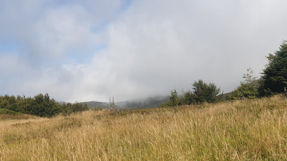 20220831_110103.jpg