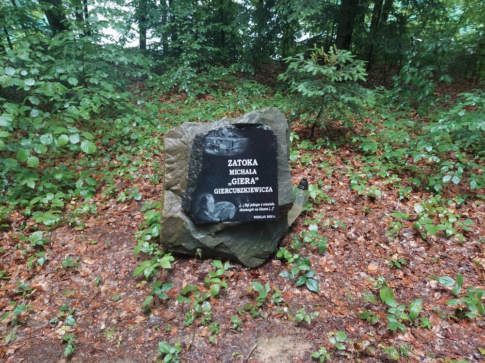 20230608_135212.jpg