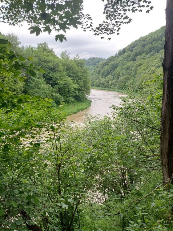 20230609_104322.jpg
