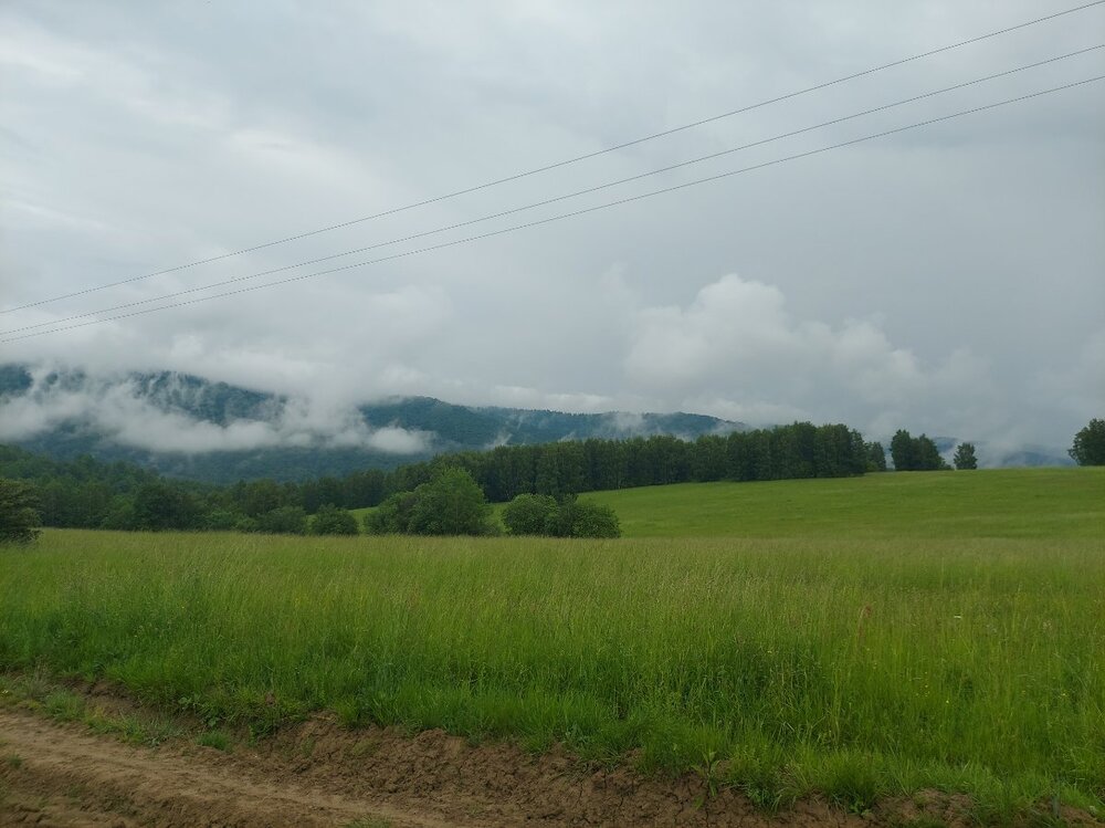 20230609_143825.jpg