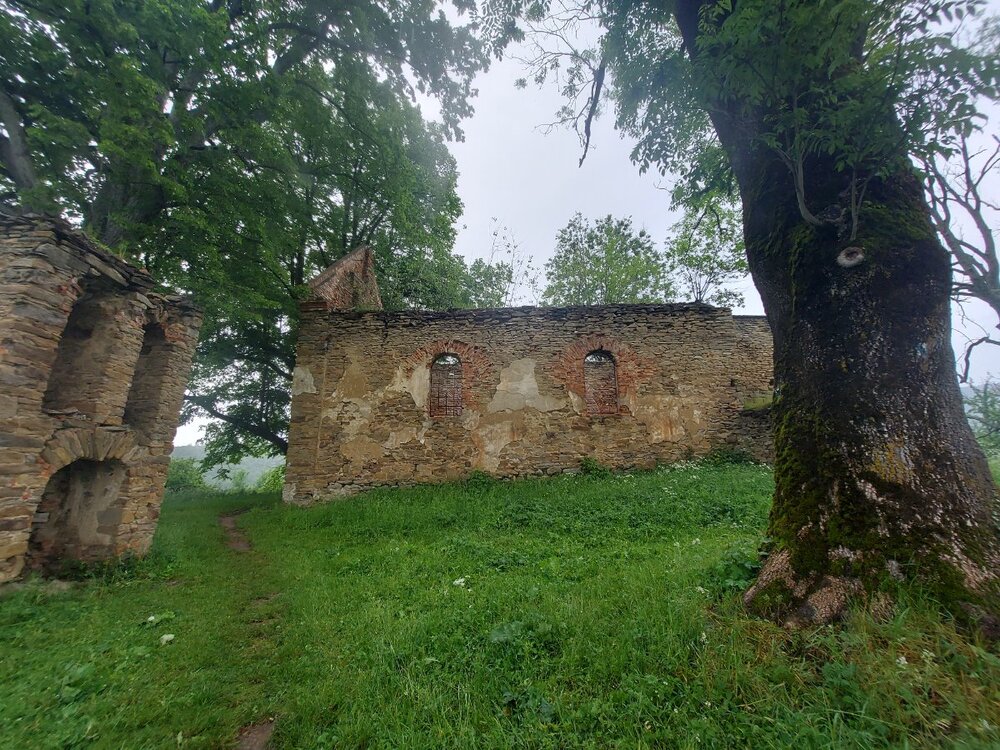 20230609_152450.jpg
