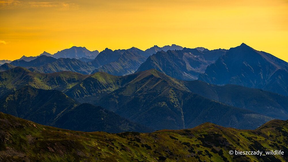 Tatras 2023-254 Bystra.jpg