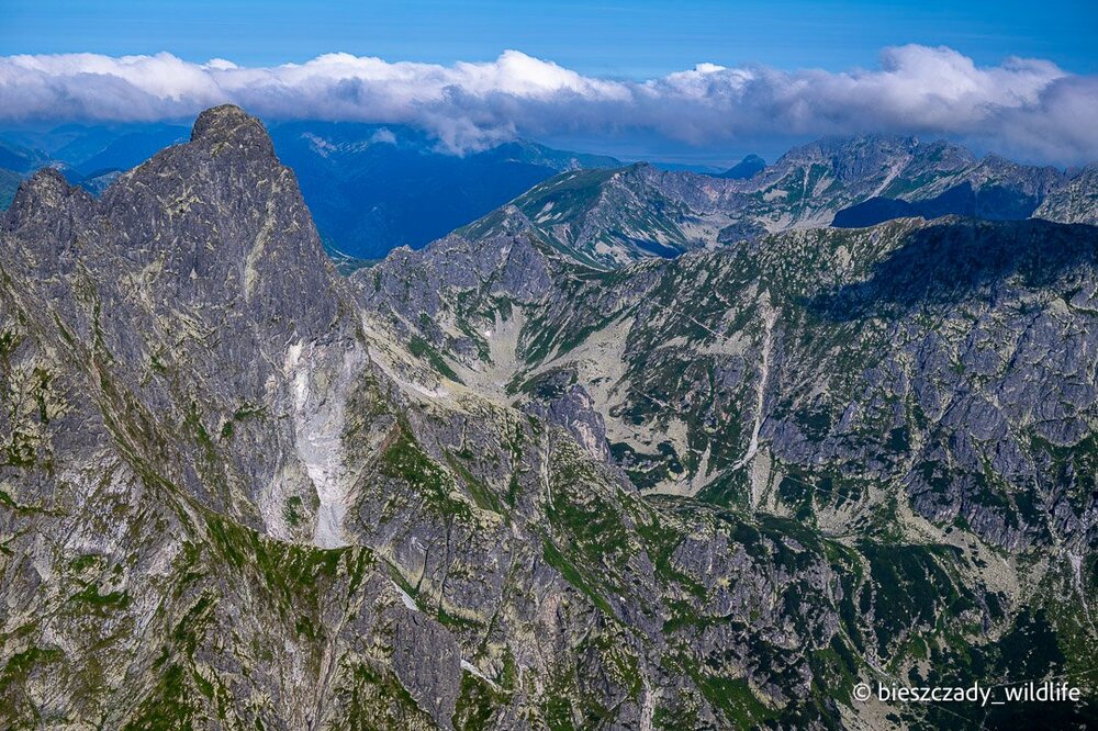 Tatras 2023-207 Rysy.jpg