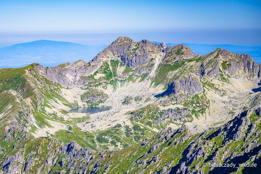 Tatras 2023-267 Koprowy.jpg