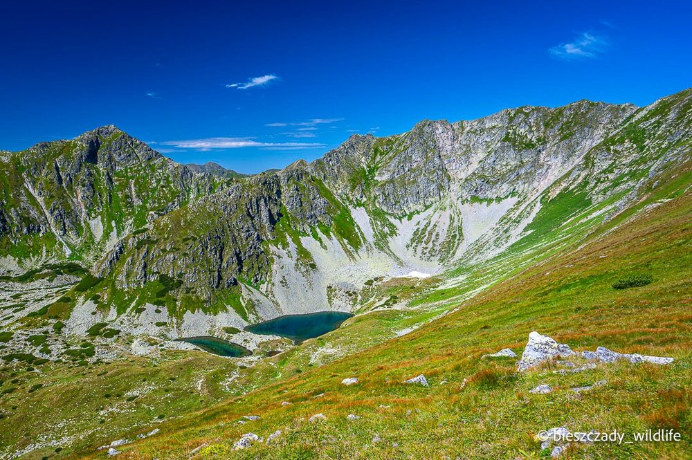 Tatras 2023-258 Bystra.jpg