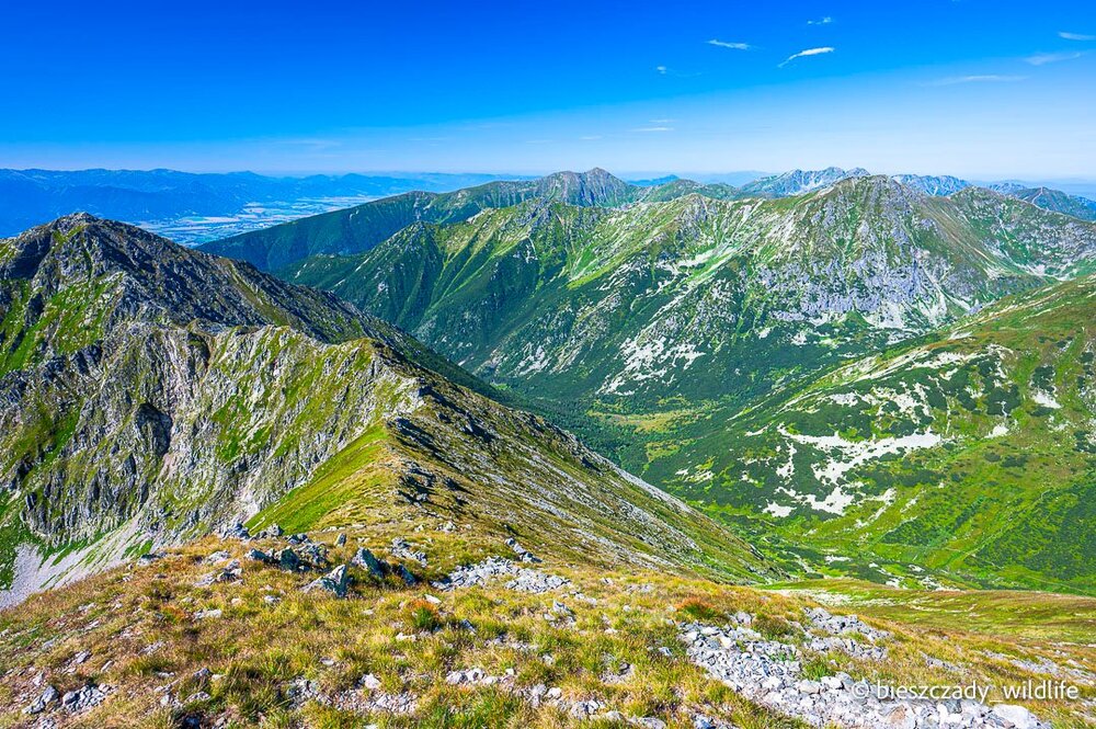 Tatras 2023-256 Bystra.jpg